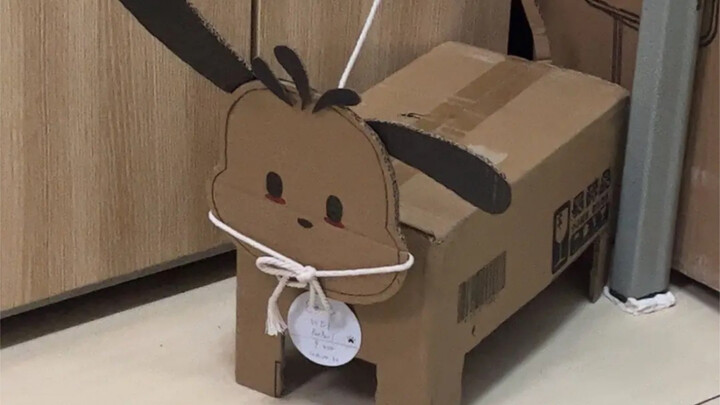 แม่งเอ้ย ห้องพักกูมันดันจะเลี้ยงหมาในหอว่ะ