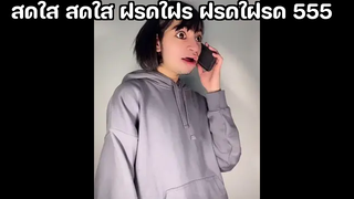 สดใส สดใส ฝรดใฝร ฝรดใฝรด 555