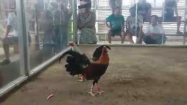 Buyer’s update sa nakuha na Kanawayon BF X Sweater Grey (WINNER) 🥰 #tatakjshbackyard #fyp