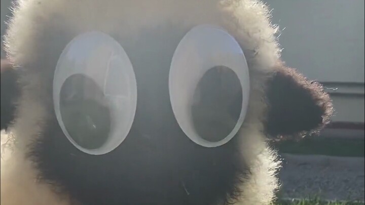 是你吗？小羊肖恩！