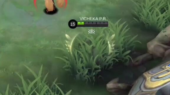 Build and emblem set/: 2022🔥