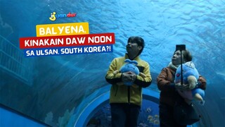 Balyena, kinakain daw noon sa Ulsan, South Korea?! | I Juander