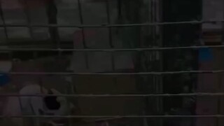 被別人誤解的時候，不用在意，更不要去自證，請牢記三毛的這句話：“ 你們對我的百般註解和識讀，並不構成萬分之一的我，卻是一覽無餘的你們。"