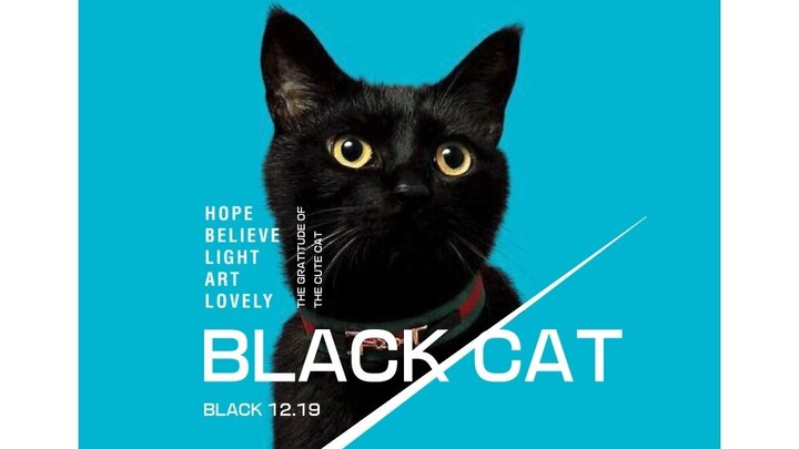 From Single Image to Multiple Images to Design Tips