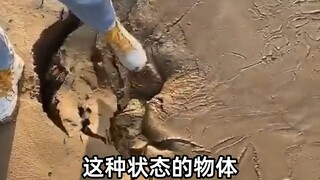 Natural non-Newtonian fluids, quicksand