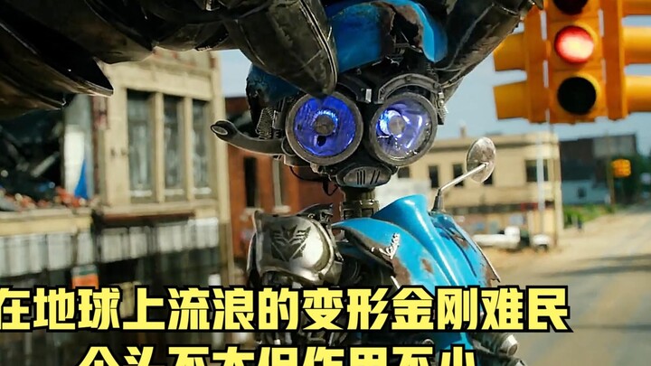 在地球上流浪的变形金刚难民，个头不大但作用不小