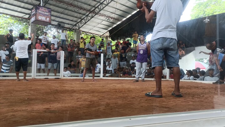 2x Winner Quirino Gallera (DACS GAMEFARM)