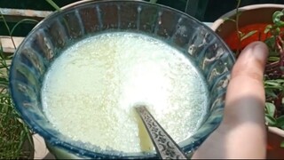 Kerala-Style Salted Amla Pickle | Nellikka Uppilittathu | 1-Month Storage Recipe  https://you