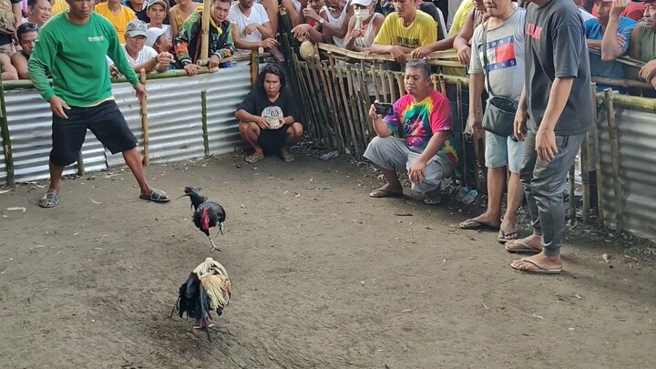 buklong na super mamalo.