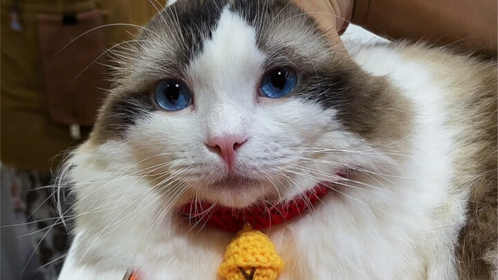 Same scenery + different feelings = a whole new landscape