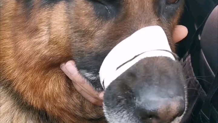 Let me show you a tough guy shedding tears!