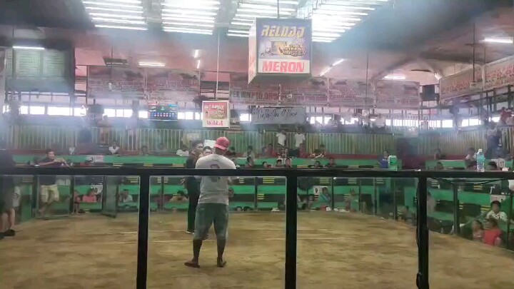 cav