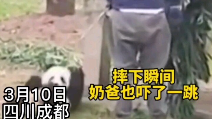 โอ๊ยยย ทำไมตกเองแล้วยังจะมากัดคนอีกนะ!