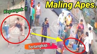 Maling Apes kena Karma || Curanmor Apes Dan Gagal Total Terbaru 2023