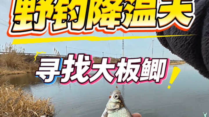 Winter wild fishing at dusk, searching for big crucian carp