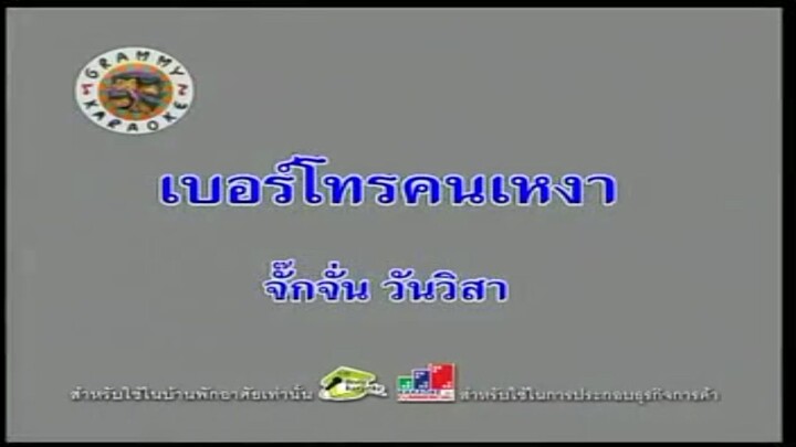 9.เบอร์โทรคนเหงา (คาราโอเกะ) - จั๊กจั่น วันวิสา