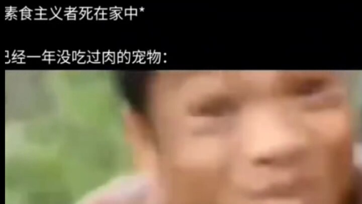 Thú cưng của người ăn chay sẽ như thế này: