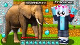 ช่วยน้อง!! แปลงร่างเป็นเจ้าช้างยักษ์สุดน่ารัก.. ขี้เป็นของเพชร ให้น้อง!? 💎 (Minecraft)