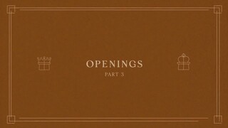 17. Openings - Part 3