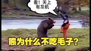 Why don't bears eat Russians?