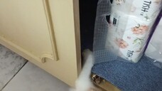 ay nahulog log log 🤣🤣