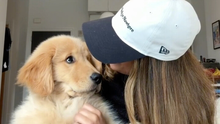 Cách chủ nhà thu tiền thuê từ cún cưng