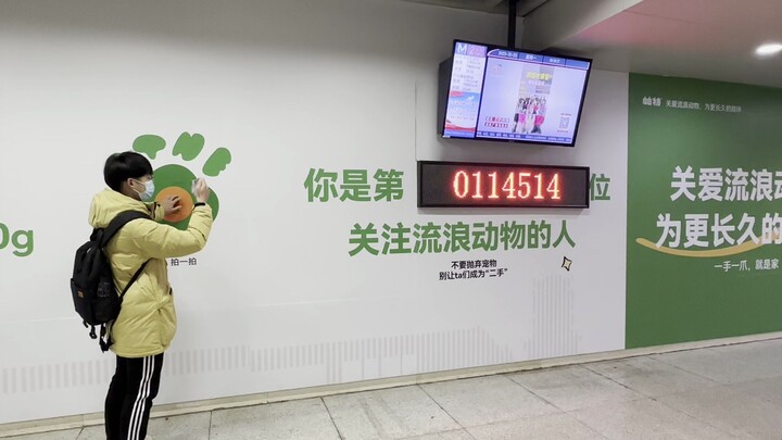 The 114,514th person to care about stray animals, Wuhan Metro Jianghan Road