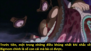 Những Trái Ác Quỷ của đội quân Big Mom lấy từ đâu? p1