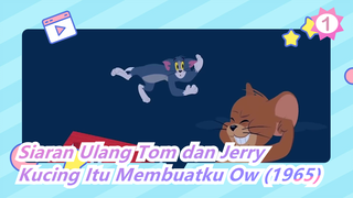 Tom dan Jerry | Apa yang Terjadi Ketika Disiarkan Ulang? Kucing Itu Membuatku Ow (1965)_1