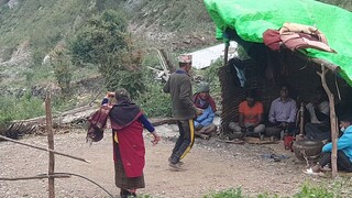 old couple dancing in Panchebaja | Nepalese style dance |
