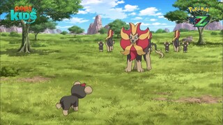 pokemon xyz 101 (285) h