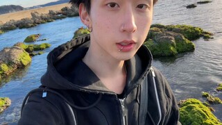 こにちわ