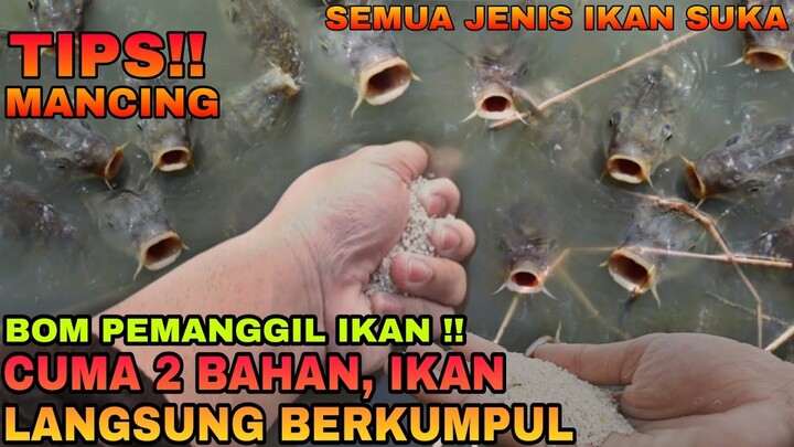 Tips mancing|| BOM PEMANGGIL IKAN BERKUMPUL DI LAPAK, semua ikan suka #trending