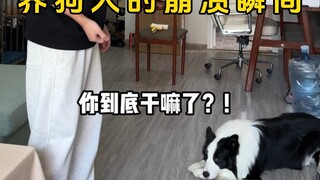 The dog owner's breakdown moment