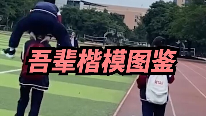 【Xige】Sebenarnya mereka itu kok bisa dapet pacar sih?