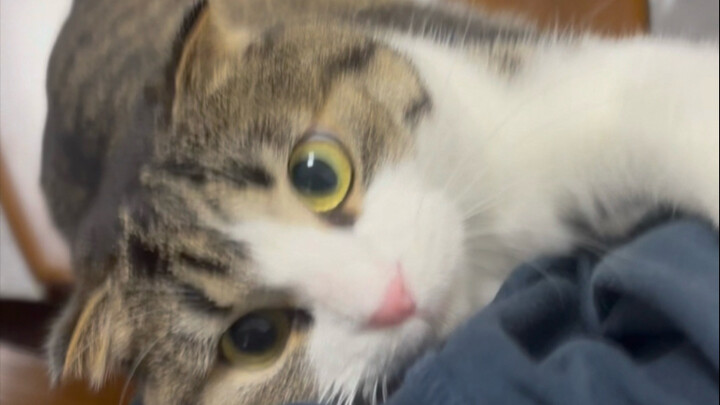 Waiting for my plump, juicy bite