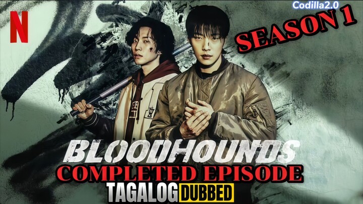 Bloodhounds Season 1 2023 Tagalog Dubbed Completed Episode 1 To 8 Finale