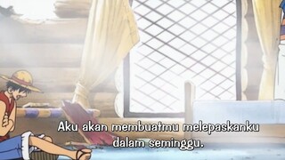 luffy terperangkap