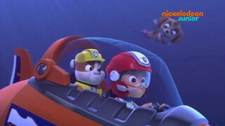 Paw Patrol - 《Itu Skye!》 [Bahasa Indonesia] Dari episode pup save Mer-pup. NICKELODEON JUNIOR