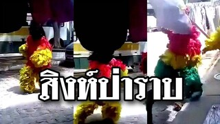 สิงห์โตวิ่งหนีหมากระเจิง เป็นไงล่ะ บางทีเจ้าป่าก็หมดสภาพ @Awesome Videos