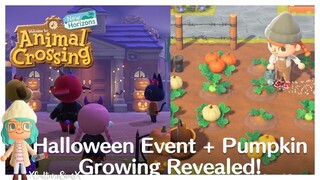 Animal Crossing: New Horizons Fall Update – Nintendo Switch Full Review