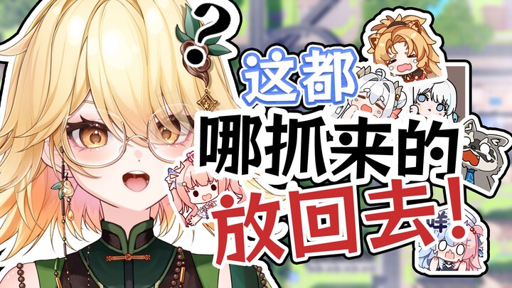 锐评被DD抓过来的同事！