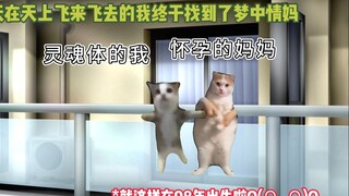 【猫meme】勇敢妈妈带着我逃离有毒的婚姻。。