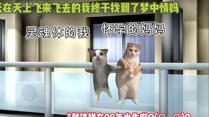 【猫meme】勇敢妈妈带着我逃离有毒的婚姻。。