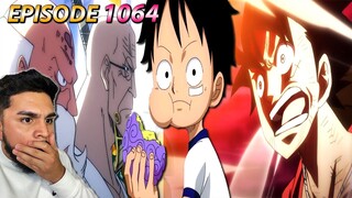 TRUTH ABOUT THE GUM-GUM FRUIT?! || One Piece Episode 1064 REACTION!
