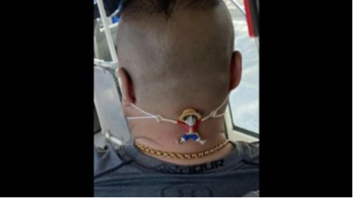 ONE PIECE：Monkey D. Luffy has done his best