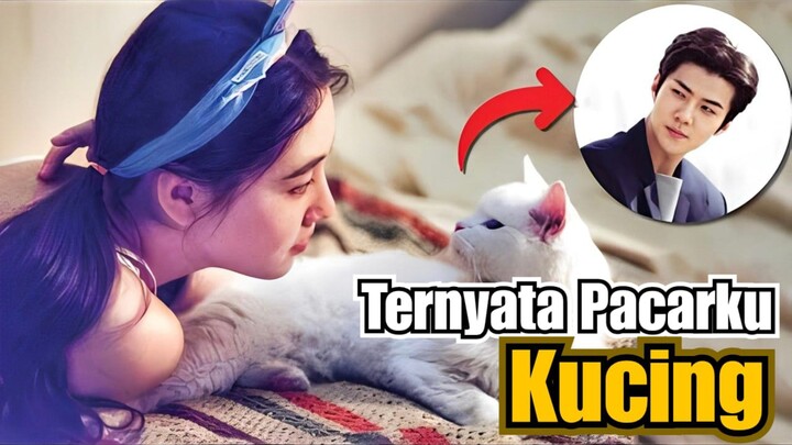 Derita Pacarku Dikutuk jadi Seekor Kucing 🐱🐈