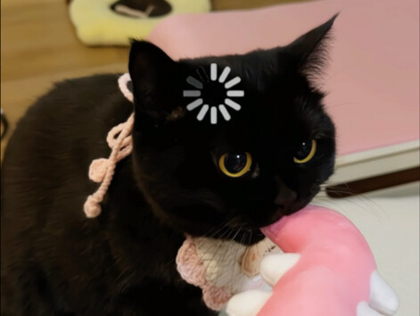 อย่ามาแตะต้องฉัน!!