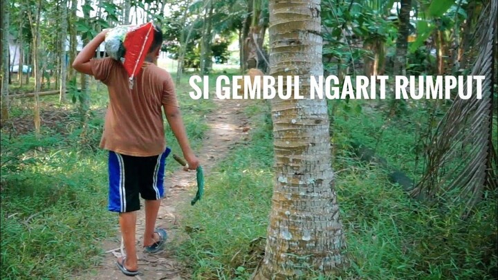 KOMEDI LUCU SI GEMBUL NGARIT RUMPUT EPISODE 1, LUCU THE SERIES | VIDEO LUCU | EFRAN VAREZA.