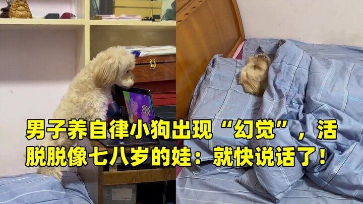 Người đàn ông nuôi chú cún tự giác đến mức xuất hiện “ảo giác”, trông y như một đứa trẻ bảy tám tuổi